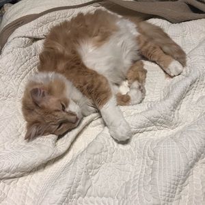 Meet your Posher, Molly